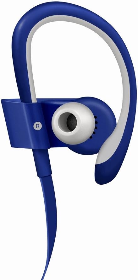 Powerbeats2 Wireless In-Ear Headphone - Blue