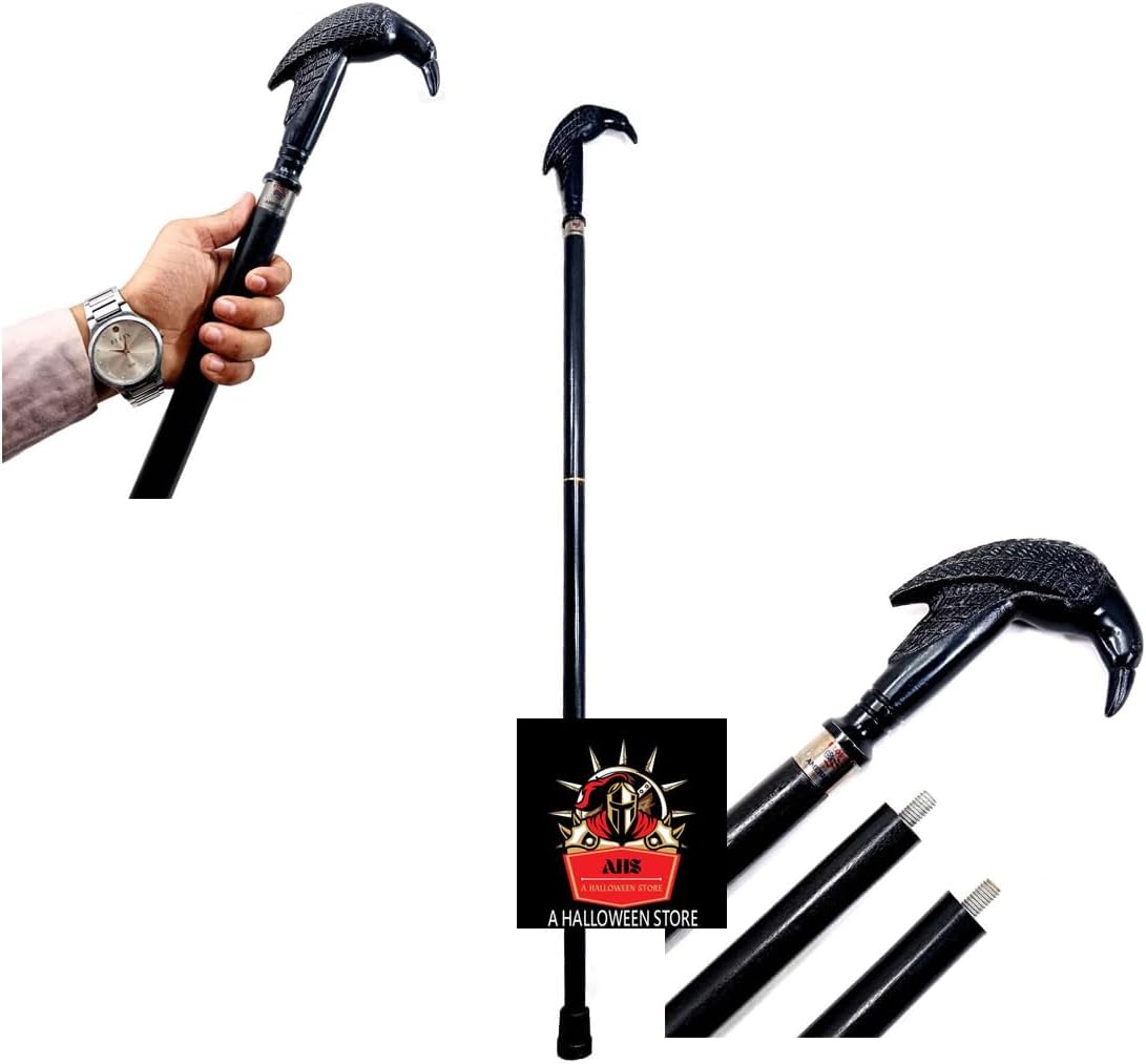 Edgar Allen Poe’s Mystic Raven Crow...