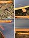 WildVenture Tent Tarp, Rain Fly, Waterproof Tarp, Camping Tarp, Hammock Rain Fly, Hammock Tarp, Tent Camping Accessories, Rain Tarp, Tarp Shelter, Camping Shelter, Camping Equipment