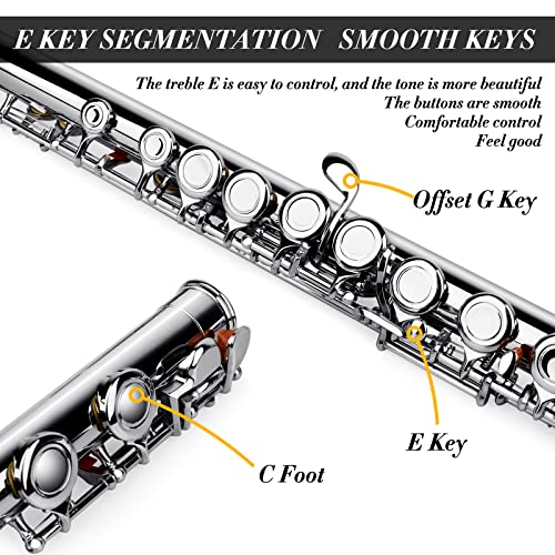 Slade Closed Hole C Flutes - Musical Instrument Beginner Student Flute With Case, Stand, Gloves, Tuning Rod, Carrying Case, Joint Grease And Cleaning Kit, Silver #TOP2