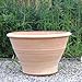 Produktbild Palatina Werkstatt , Pflanzschale Pflanzgefäß aus Terracotta 50 cm winterfeste Tonschale Pflanzkübel für Garten,Terrasse, Artemesia 50 cm