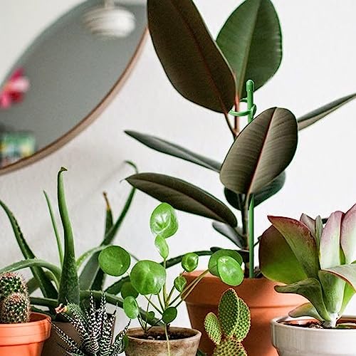 30 Stks Plant Ondersteuning Stakes Met 60 Clips Verstelbare Tomaat Pioen Ondersteuning Frame Ring Kooi Houder, Plant Ondersteuning Voor Tuin Bloem Monstera Hortensia's Groenten - Afbeelding 3