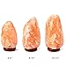 The Body Source Himalayan Salt Lamp 6-8 Inches (4-7lb) | Includes Dimmer Switch | Natural Salt Rock Lamp with Handcrafted Wooden Base & Night Light (Bulb Replacement)