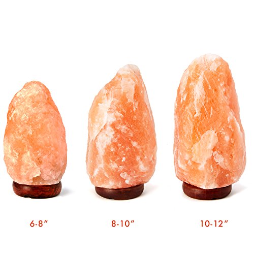 Himalayan Salt Lamp 8-10 inches - Image 6