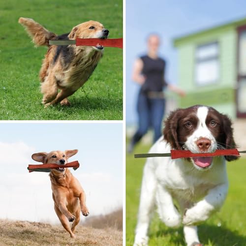 DIFLAX Beisswurst für Hunde, Leder Hund Zerrspielzeug, 30 cm Lange, Sehr Robustes Training Zubehör, Hundespielzeug mit Nylon Handschlaufe zum Training, Tauziehen und Zerrspiele