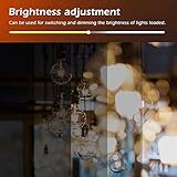 GLEDOPTO Triac AC Dimmer thumbnail 4