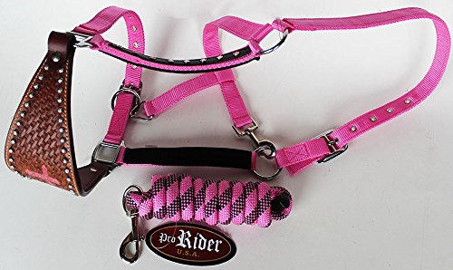 ProRider Horse Noseband Tack Bronc Leather Halter Tiedown Lead Rope 280620