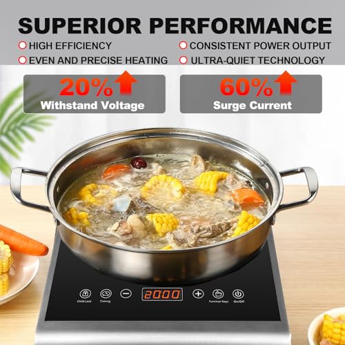 Abangdun Professionelles Induktionskochfeld 1 Platte 2000W, Tragbare Induktionskochplatte aus Edelstahl für Gastronomie, mit 10 Leistungsstufen (200-2000W), 60-240°C, LED-Anzeige, 18h Timer