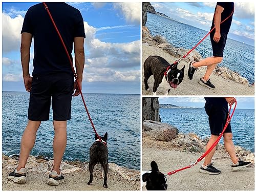 Hands Free Dog Lead. Double Ended, MultiFunction, Multiposition, for 2 Dogs, Small Medium Large. Rope and Leather - Image 3