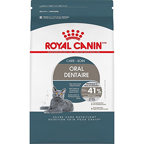 Royal Canin Feline Care Nutrition Dental Care Dry Cat Food, 3 lb bag