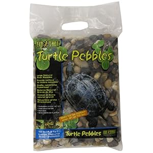 Exo Terra Turtle Pebbles schildpaddengrind, 4,5 kg
