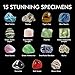 NATIONAL GEOGRAPHIC Rocks and Minerals Education Set – 15-Piece Rock Collection Starter Kit with Tiger’s Eye, Rose Quartz, Red Jasper, and More, Display Case and Identification Guide