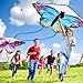 Leitee 6 Pack Large Kite for Kids and Adults Butterfly Kite for Kids Age 4-8-12 Dragonfly Owl Parrot Eagle Goldfish Teens Toy Easy to Fly for Game Beach Outdoor Activities Gifts(Cute Style)