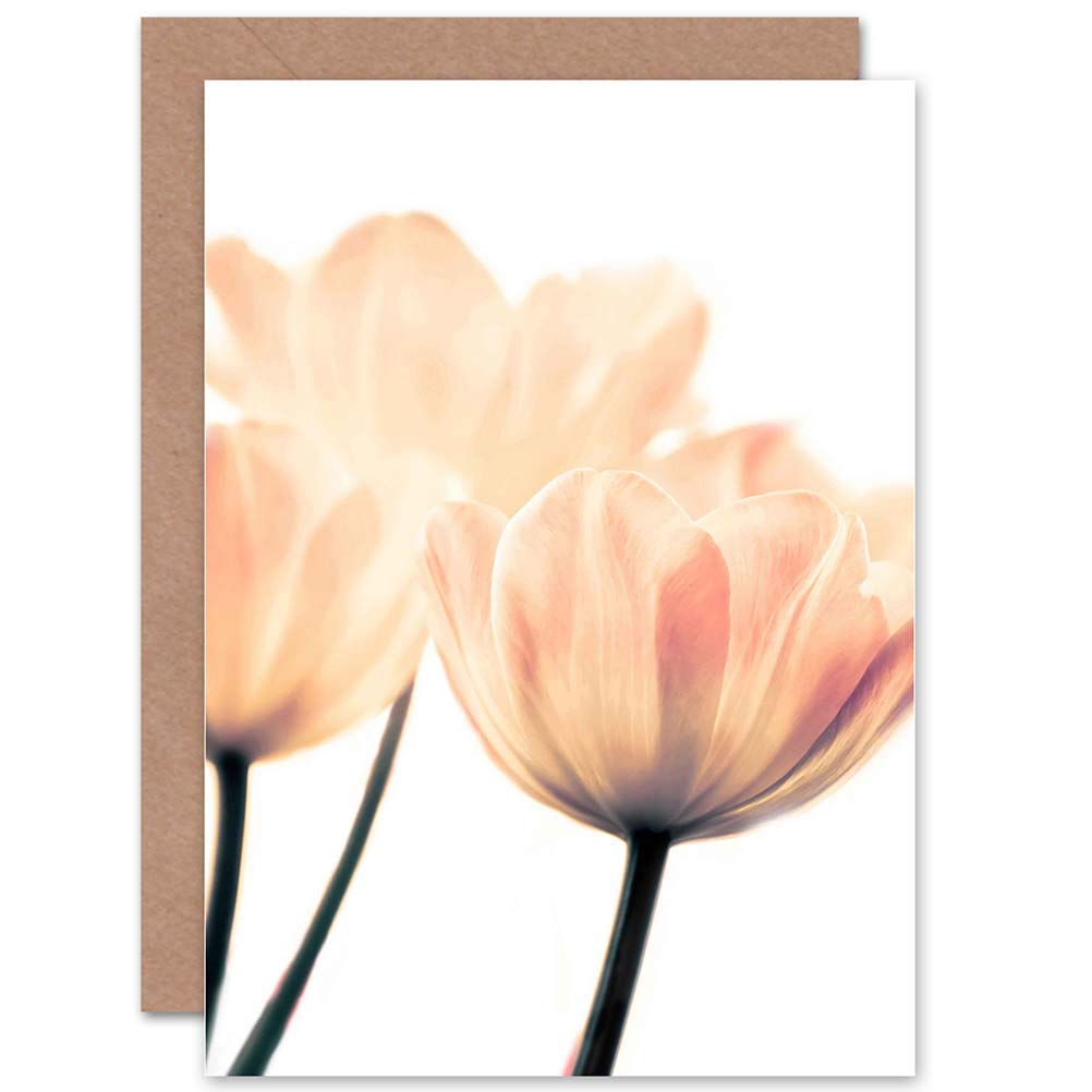 Wee Blue Coo CARD GREETING PRETTY PINK FLOWER PETALS GIFT