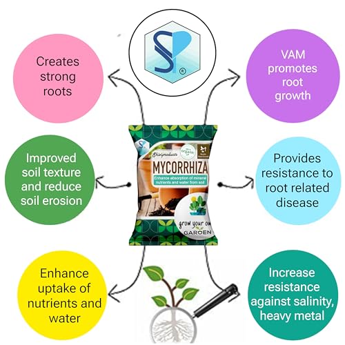 Image of Organic Mycorrhizal Biofertilizer VAM fungi (900gm)|Essential Fertilizer for Root Growth and Plant Transplant|for Home Gardening Vegetables and Flowering Plant, powder