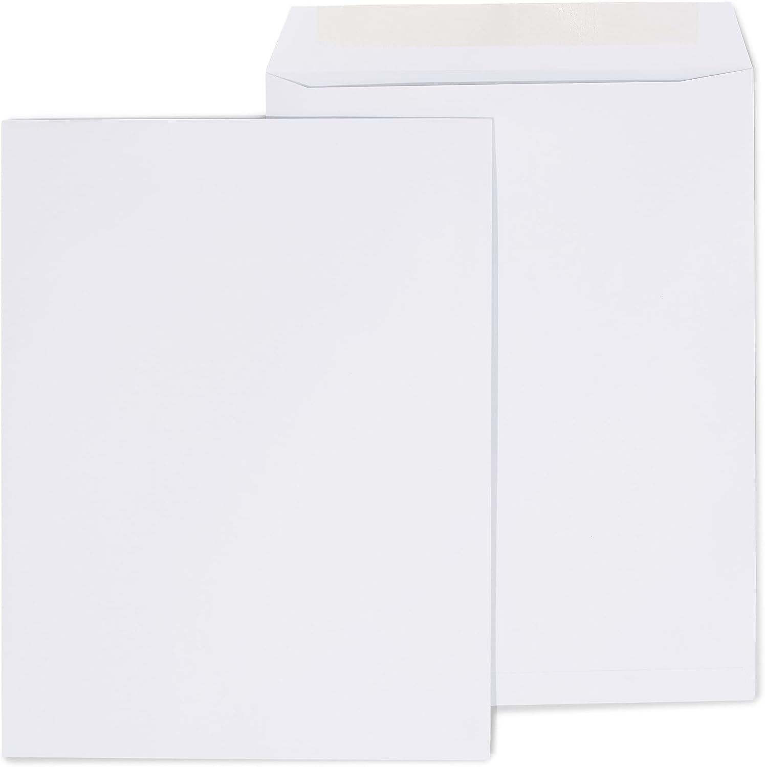 Staples Gummed Catalog Envelopes, 10-inch L x 13-inch H, White, 500/Carton (ST59962-CCVS)