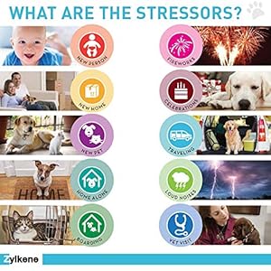 Vetoquinol-Zylkene-Calming-Support-Supplement-for-Small-Dogs-and-Cats-Helps-Promote-Relaxation-and-Reduce-External-Stress-Factors-Daily-Behavioral-Support-and-Anxiety-Relief-for-Dogs-and-Cats-75mg - Cucciolini Doodles   Vetoquinol-Zylkene-Calming-Support-Supplement-for-Small-Dogs-and-Cats-Helps-Promote-Relaxation-and-Reduce-External-Stress-Factors-Daily-Behavioral-Support-and-Anxiety-Relief-for-Dogs-and-Cats-75mg