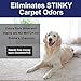 BUBBA'S ROWDY FRIENDS Bubbas Carpet Cleaner Solution for Shampoo Machine - Best Deep Cleaning Solution for Carpets, Rug, Couch, and Car - Works in Any Shampooer - Pet Home Essentials