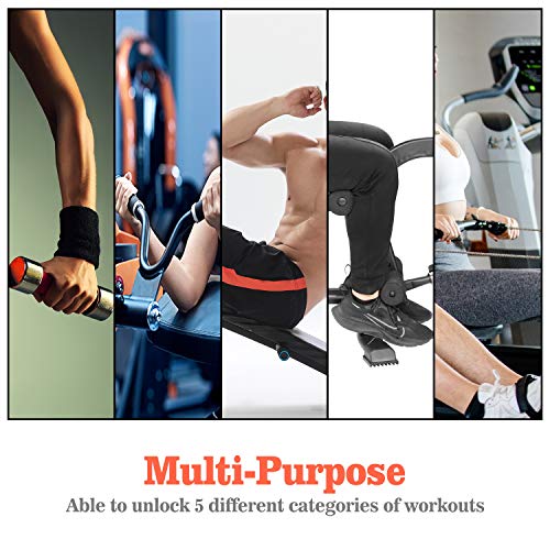 ZENOVA Adjustable Weight Bench, Flat Incline Decline Exercise Workout Bench with Leg Extension and Curl,Training Bench for Full Body Workout (Upgrade Version)