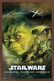 Trends International Star Wars: Saga - Blu Ray Prequels Wall Poster, 22.375' x 34', Mahogany Framed...