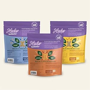 Halo plant based mostly canine treats selection pack oats  blueberries peanut butter  banana peanuts  pumpkin vegan canine deal with pouch 8oz bag 3 depend   cucciolini doodles