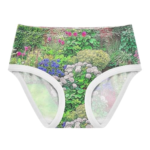 Girls Underwear Toddlers 2t Cotton Panties Little Girl Florals Briefs Undies Kids Vibrant Garden Blooming Flowers