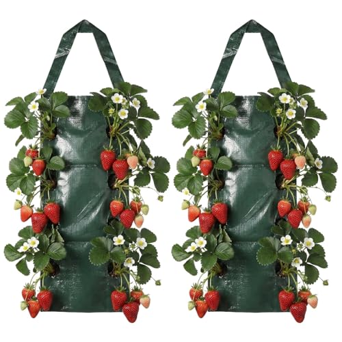JYYWTSI 2 Pièces Sac de Plantation Fraises, Sac De Plantation Fraisier avec 8 Trous, Sac de Culture à Fraises Suspendu, Tour A Fraise, Potager Vertical pour Fraise,...