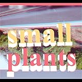 Small Plants