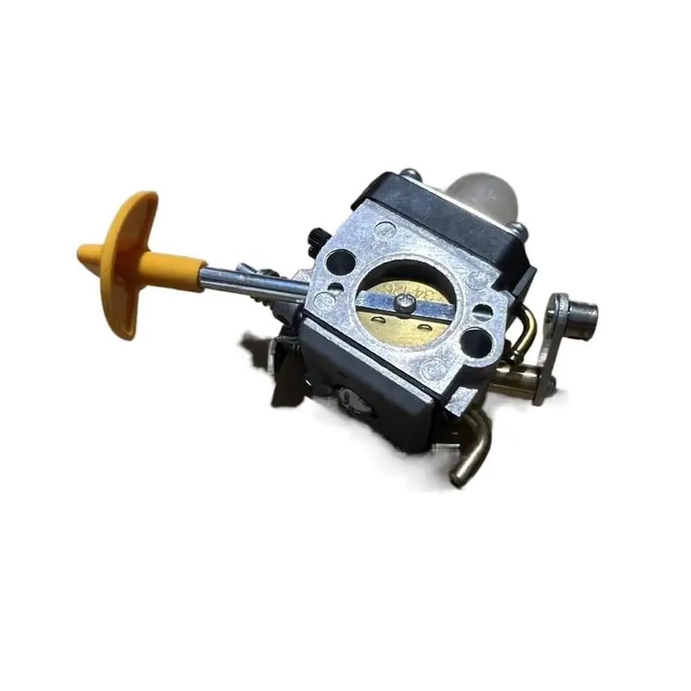 Carburador para pulverizador de niebla 3WF-20 ideal para cuidar parcelas y olivares