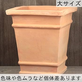 深鉢 Amazon | めだか メダカ 屋外 飼育 水槽 容器 ビオトープ 睡蓮鉢