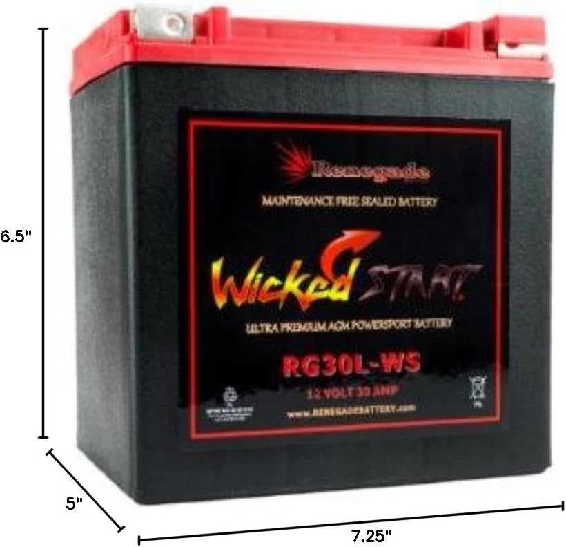 2010 HARLEY STREET GLIDE TRIKE Replacement Battery; RG30L-WS Wicked Start 600+ CCA's; Part# BTX30L, B30L-B, CB30L-B, YIX30L, 66010-97A/66010B/66010C