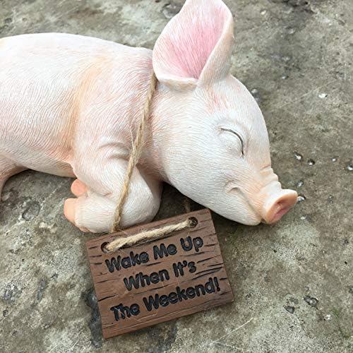 Paxton Pig Resin Garden Ornament"Wake Me Up When It Is The Weekend" 22cm long