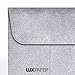 LUXPaper #1 Coin Envelopes in 80 lb. Silver Metallic, Envelopes for Coin Collections, Garden Seeds, Stamps, and More, w/Moistenable Glue 250 Pack, Envelope Size 2 1/4 x 3 1/2 (Silver)