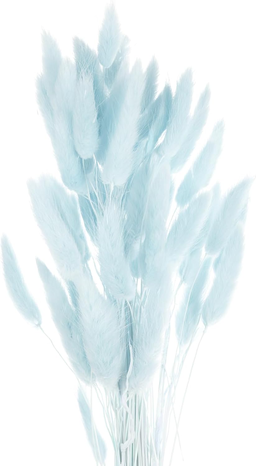 MECCANIXITY 60pcs Natural Rabbit Bunny Tails Dried Flowers 24" Mini Pampas Grass Lagurus Ovatus Bunch for Floral Wedding Decor Christmas, Pale Blue Pale Blue 24"