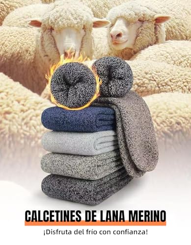 Catálogo para Comprar On-line Lana - los preferidos. 11 Imagen adicional