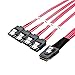 CableCreation 2-Pack Mini SAS 36Pin (SFF-8087) Male to 4 SATA 7Pin Female Cable, Mini SAS Host/Controller to 4 SATA Target/Backplane, Red Color 0.5M