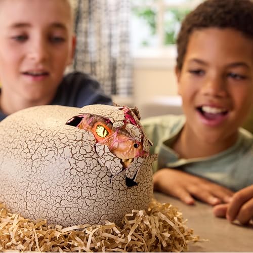 Primal Hatch Jurassic World Dino Eclosion Secrète - Oeuf De Dinosaure À Faire Éclore - Apprivoisez Et Interagissez avec Lui - 2 Accessoires Inclus - 100 Sons & Réactions - Jouet Enfant 5 Ans Et +