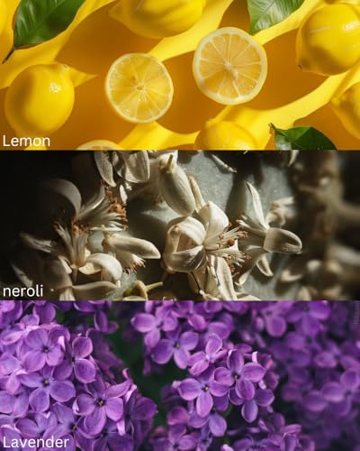 Image of TOXICMALE Perfect Long lasting Unisex perfume Office & Daily use | perfumes for men & women | perfume for him & her | Gift for him & her | TMA11 | 50 ml perfume