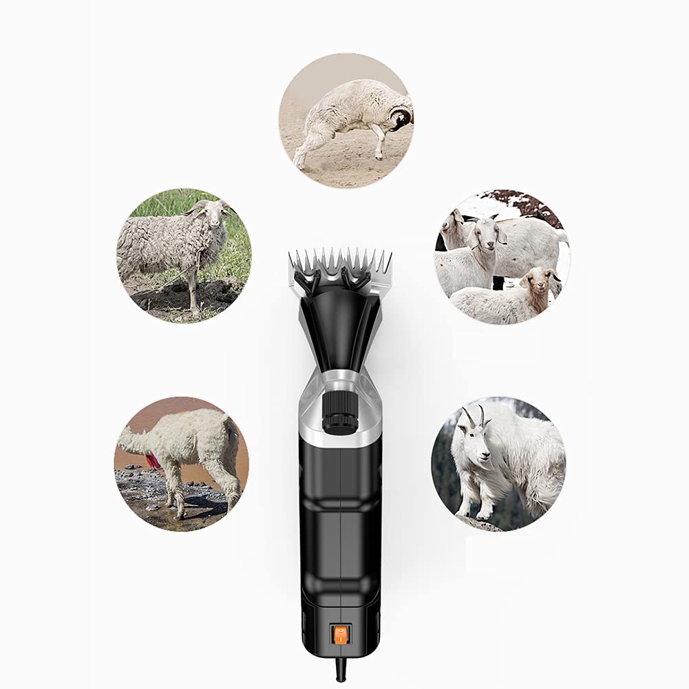 Forbici elettriche per Lana tosatrici per Lana da 1000 W 6 velocità Regolabili Portatili elettriche per Pecore Alpaca + Borsa Lama a 9 Denti curvi,Lama a 9 Denti curvi