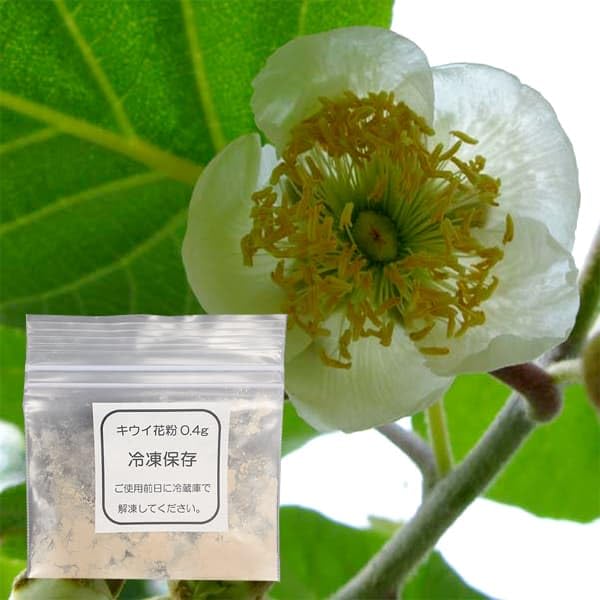 Amazon.co.jp: キウイの花粉 （キウイフルーツ受粉用） [冷凍庫で保存