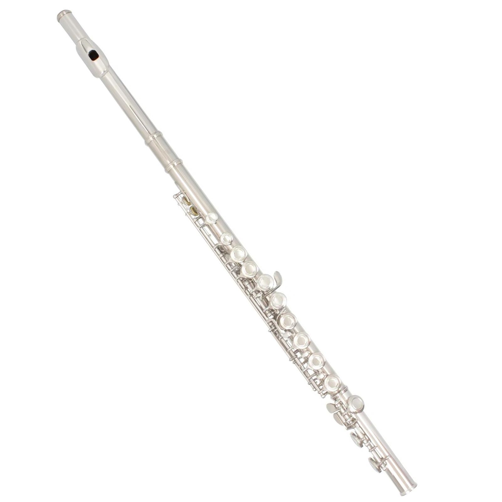 Professionale Flauto Traverso Flauto Trasversale Da Concerto Placcato Argento In Cupronichel Con 16 Fori Aperti Chiusi, Con Chiave E E Scatola
