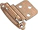 Surface Self-Closing Hinge, Self-Closing, 3/8" Offset, 2-Pack (Set of 10) (Satin Nickel)10