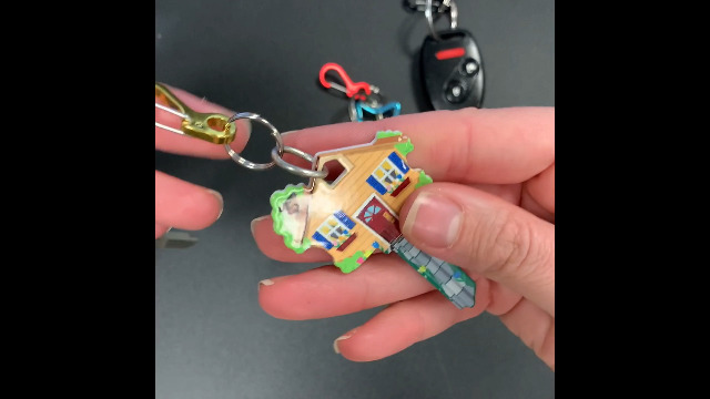 Amazon.com: Lucky Line Mini ID Clip Key Carrier Identify Keys by