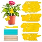 gelbsticker neudorff Schädlingsbekämpfung und Dekoration: 60Pcs gelbsticker und 81 Accessoires, die Muster umfassen Bienen, Schmetterlinge, Kolibris und Pilze; ca. 11 x 7 cm (Kolibris), die schönen Muster wirken sich nicht auf die Dekoration der Pflanzen aus und es gibt keinen chemischen Geruch.