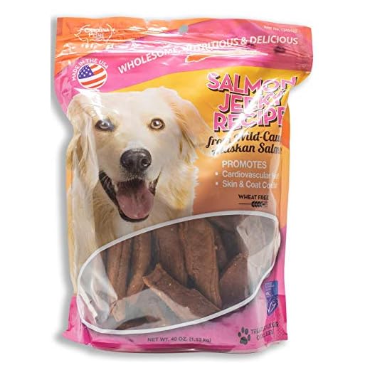 Carolina Prime Salmon Recipe Dog Jerky- from Wild-Caught Alaskan Salmon - Made in The USA - 40 OZ Big Bag