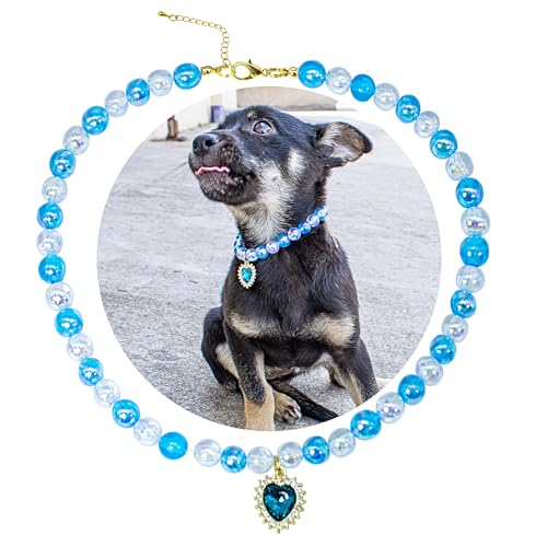 SM4BED hbOJ[ p[lbNXAu[t[r[YAVCj[CXg[_ChtA߉\ȃybgWG[A^pAXL 17C`