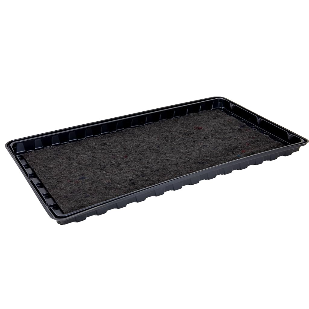 Gro-Sure Watering Tray 2pk, Black