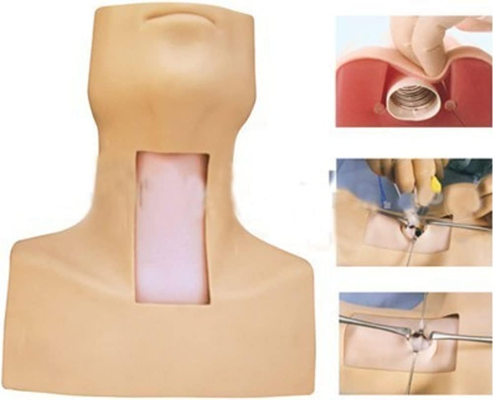Tracheostomy and Intubation Training Model Advanced Human Body Training Model PVC Simulator Manikin for Nursing Medical Training Teaching.