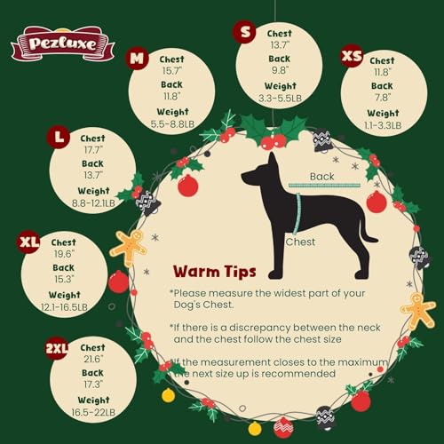 Disfraz Navideño para Perro Pezluxe Verde Small miniatura 3