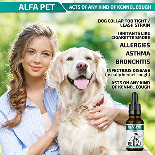 Kennel Cough Medicine for Dogs, Organic Dog Cough Medicine for Colds and Allergies - Natural Kennel Cough Treatment with Mullein Leaf and Elderberry - Thumbnail 2